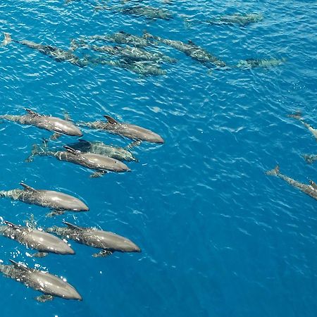 Atauro Dive Resort Beloi 외부 사진